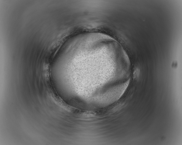 X0000110911156200907021428