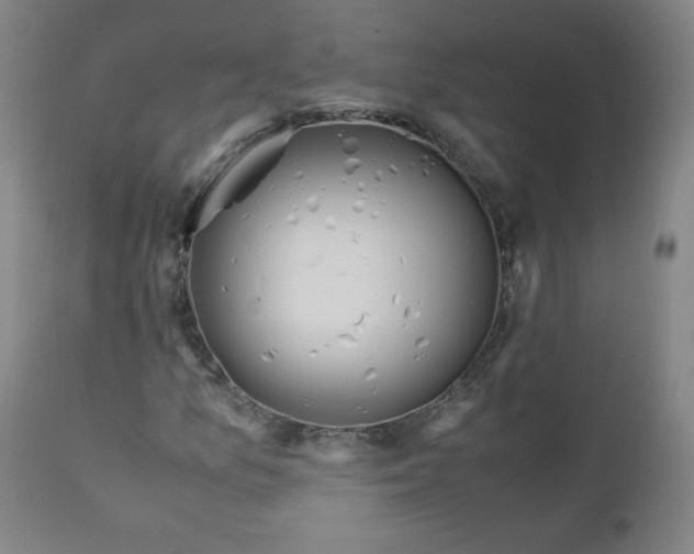 X0000110911157200907021428