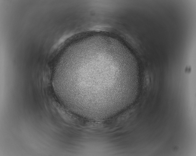 X0000110911158200907021428