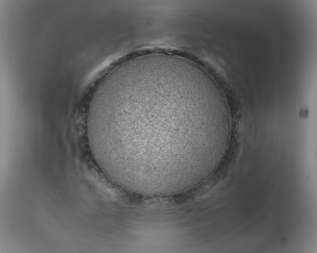 X0000110911159200907021428