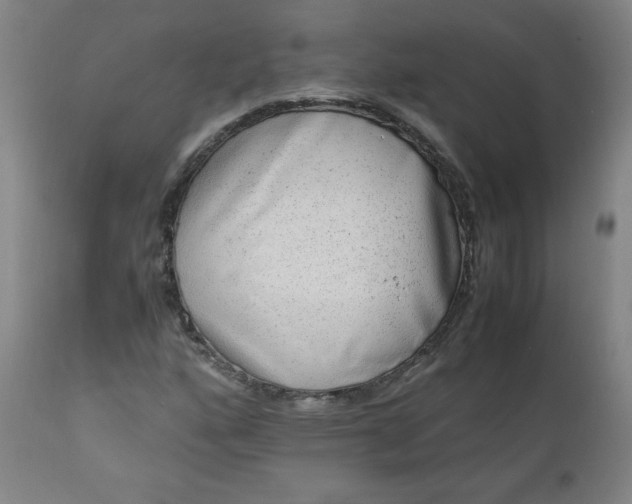 X0000110911160200907021428