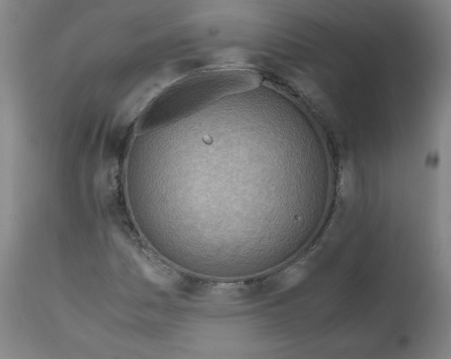 X0000110911161200907021428