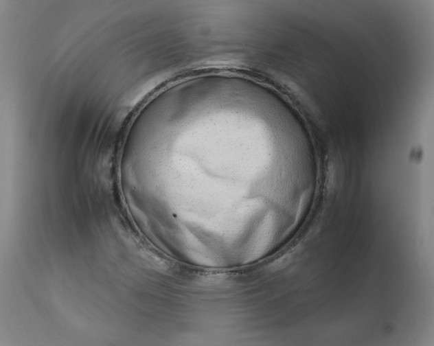 X0000110911162200907021428