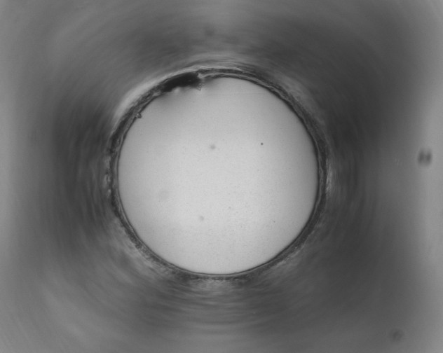 X0000110911164200907021428