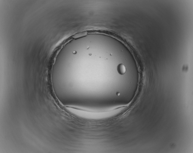 X0000110911165200907021428