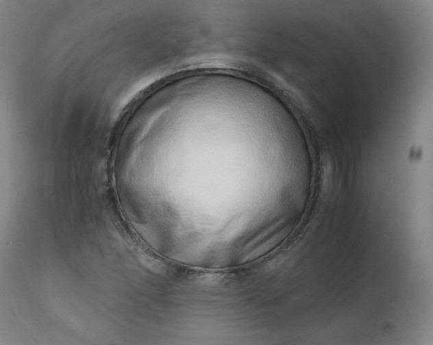 X0000110911166200907021428