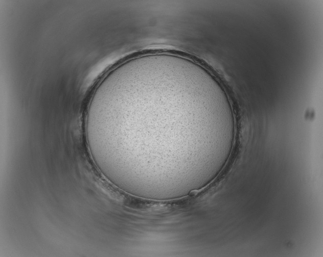 X0000110911167200907021428