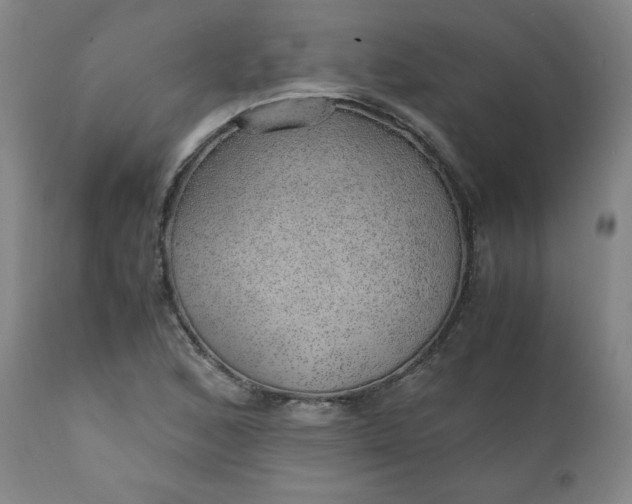 X0000110911168200907021428