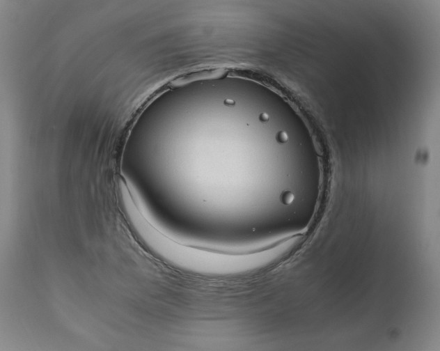 X0000110911169200907021428