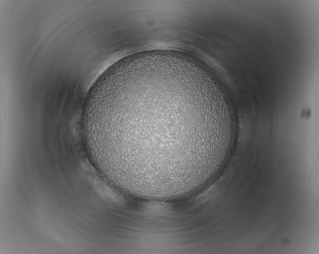 X0000110911170200907021428