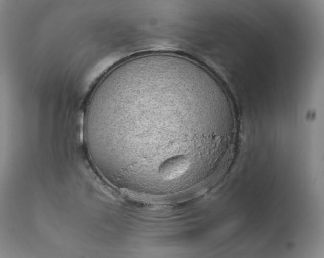 X0000110911171200907021428