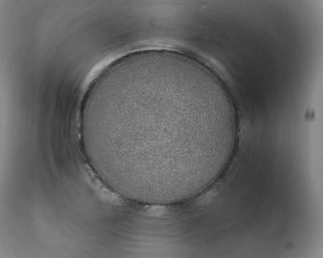 X0000110911172200907021428