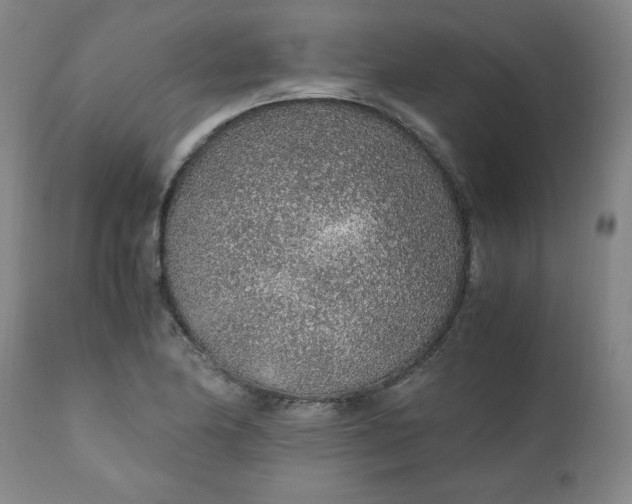 X0000110911174200907021428