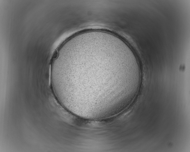 X0000110911175200907021428