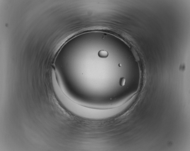 X0000110911177200907021428