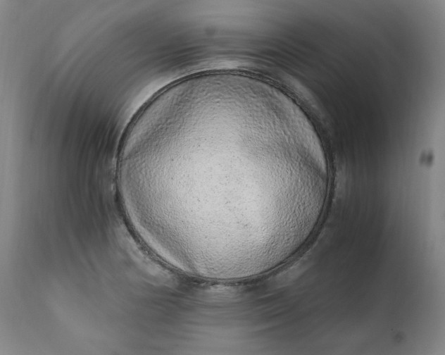 X0000110911178200907021428