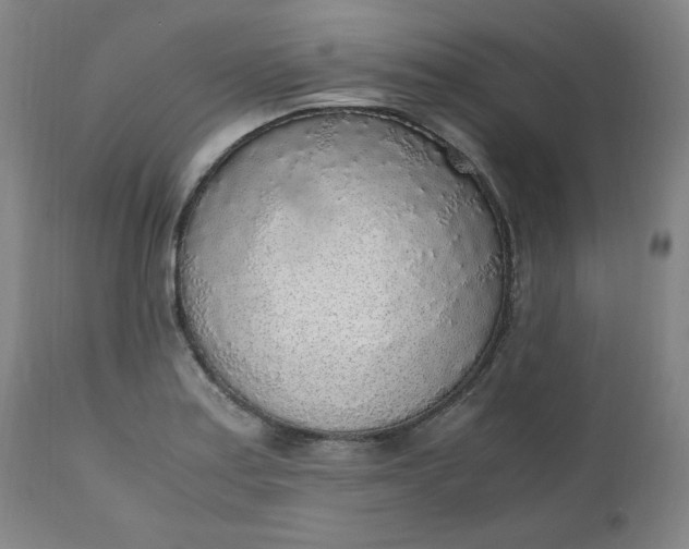 X0000110911179200907021428