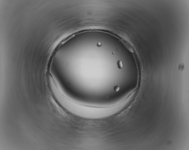 X0000110911181200907021428