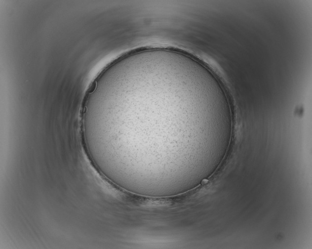 X0000110911183200907021428