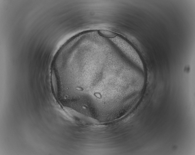 X0000110911184200907021428