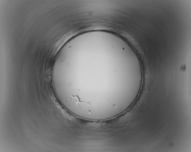 X0000110911185200907021428