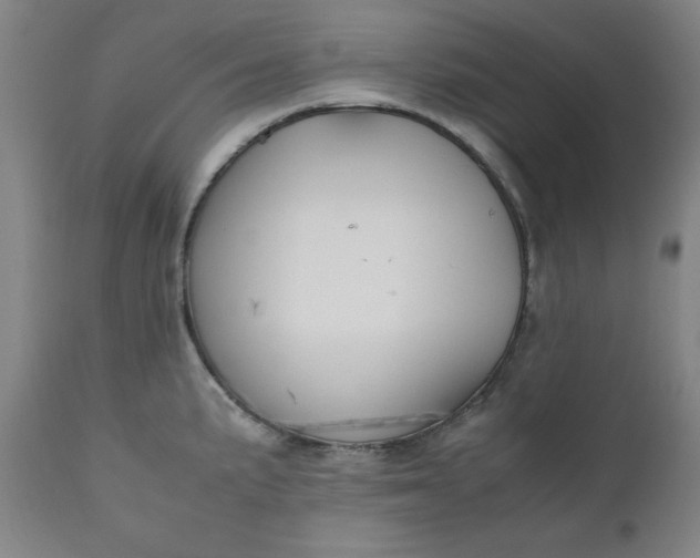 X0000110911191200907021428