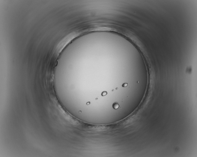 X0000110911193200907021428