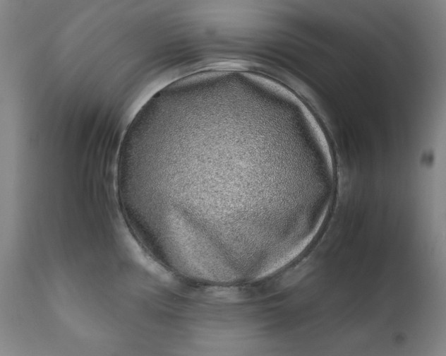 X0000110911194200907021428