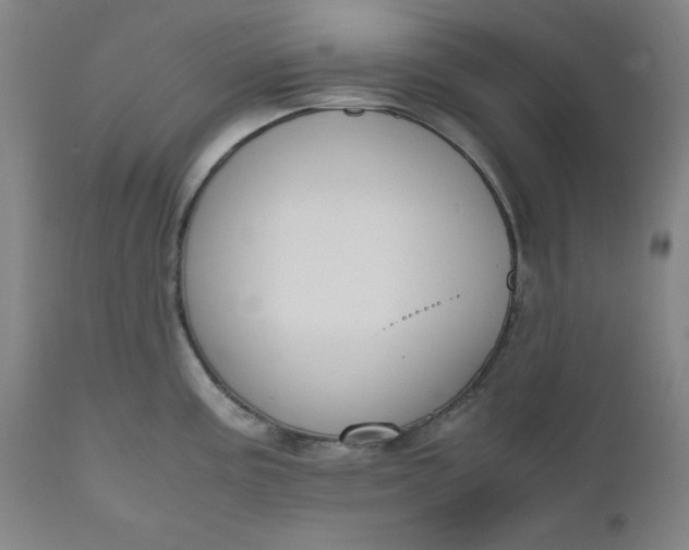 X0000110911195200907021427