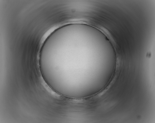 X0000110911196200907021427