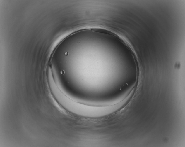 X0000110911197200907021427