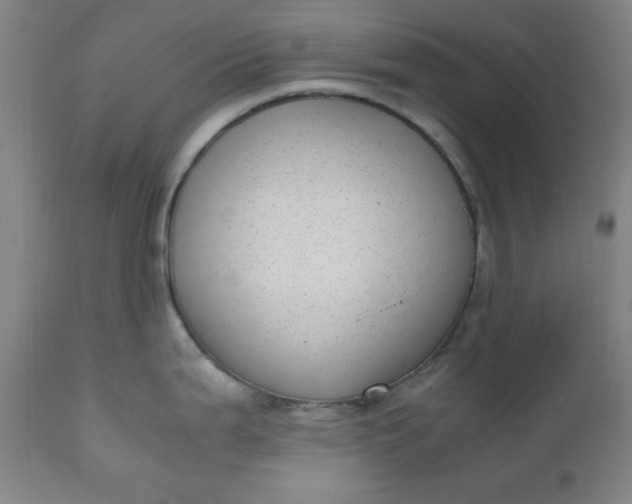 X0000110911199200907021427