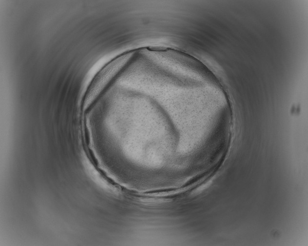 X0000110911200200907021427