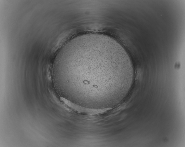 X0000110911202200907021427