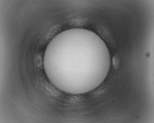 X0000110911203200907021427