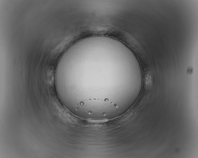 X0000110911204200907021427