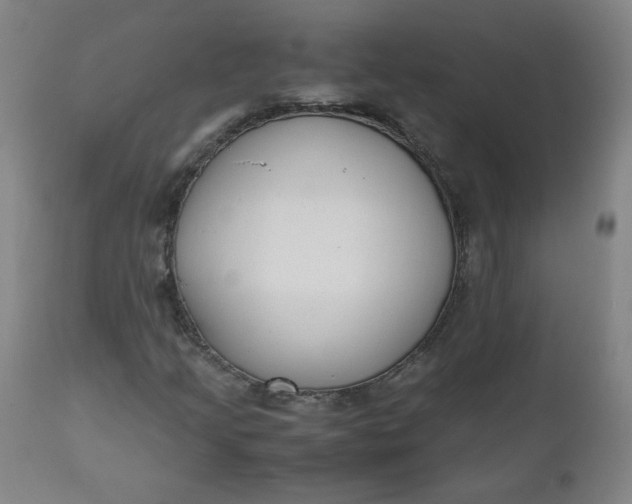 X0000110911205200907021427