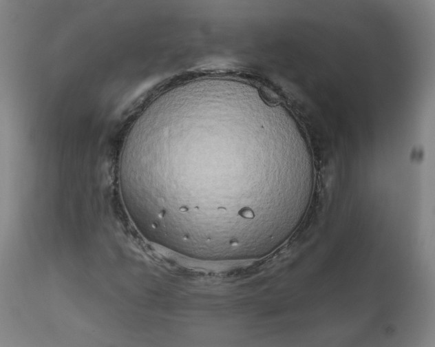 X0000110911206200907021427