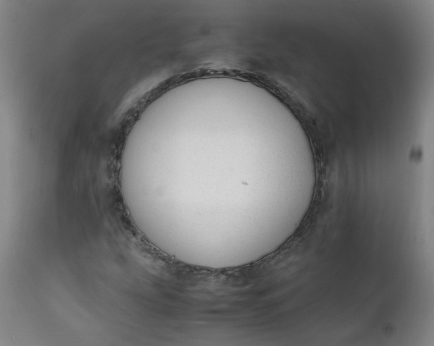 X0000110911207200907021427