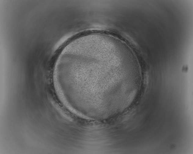 X0000110911208200907021427