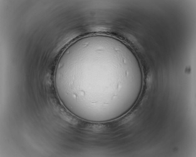 X0000110911209200907021427