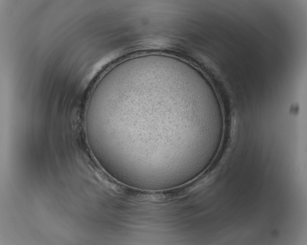 X0000110911210200907021427