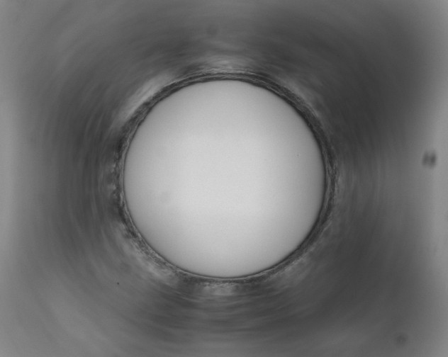 X0000110911211200907021427