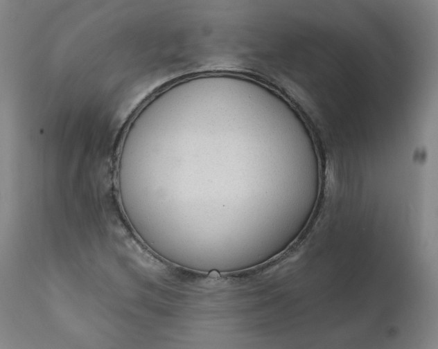 X0000110911212200907021427