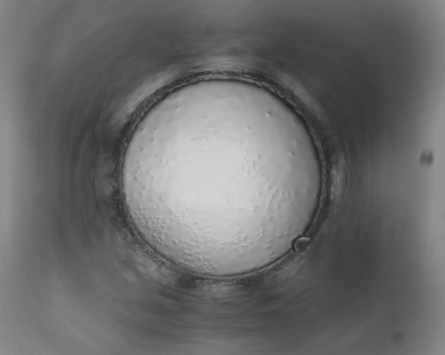 X0000110911213200907021427