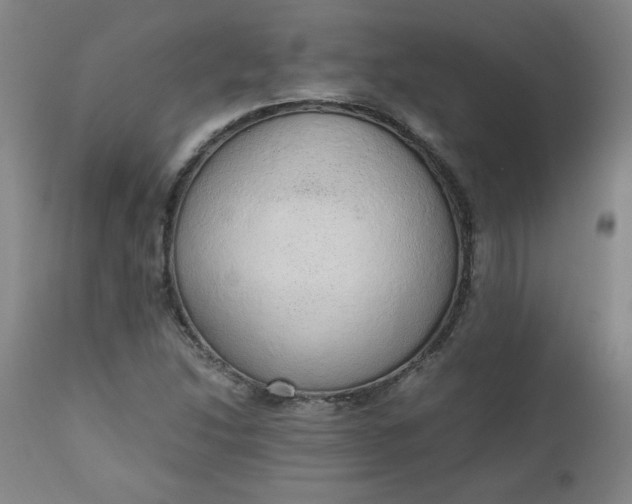 X0000110911214200907021427