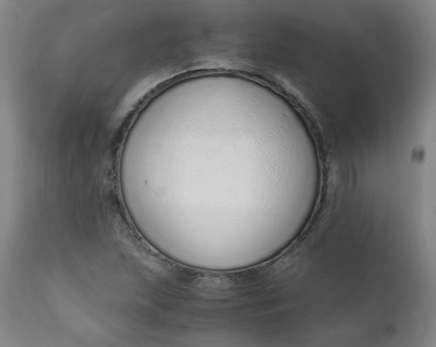 X0000110911215200907021427