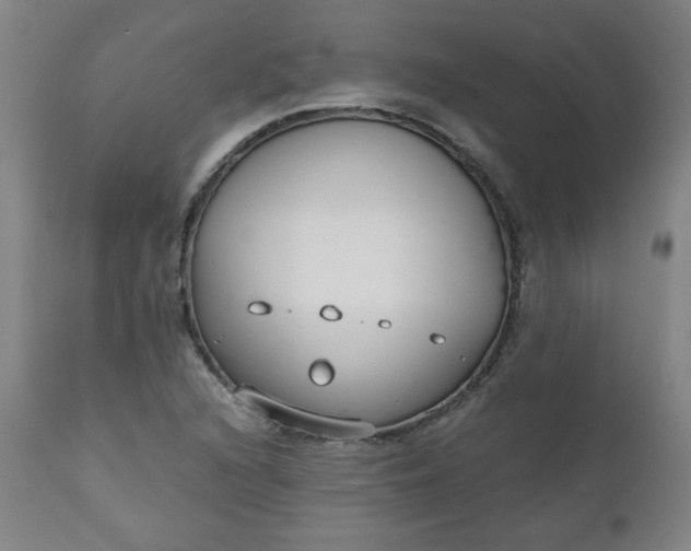 X0000110911216200907021427