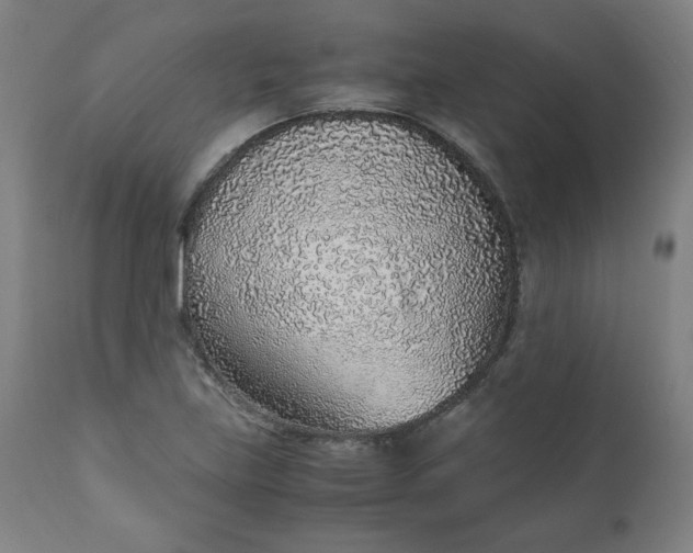 X0000110911219200907021427