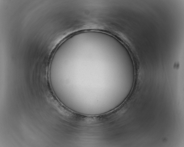 X0000110911220200907021427